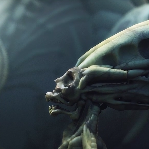 20 Free Hard Surface Alphas