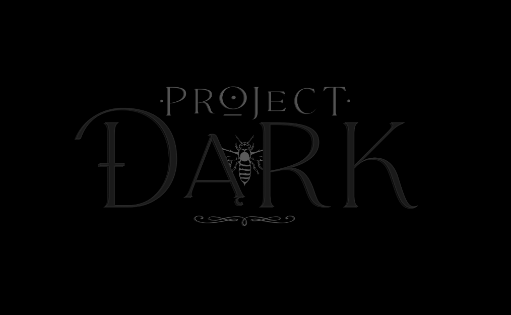 Dark Project-poster
