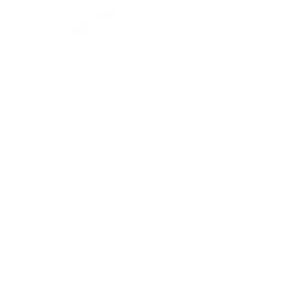 bg-image