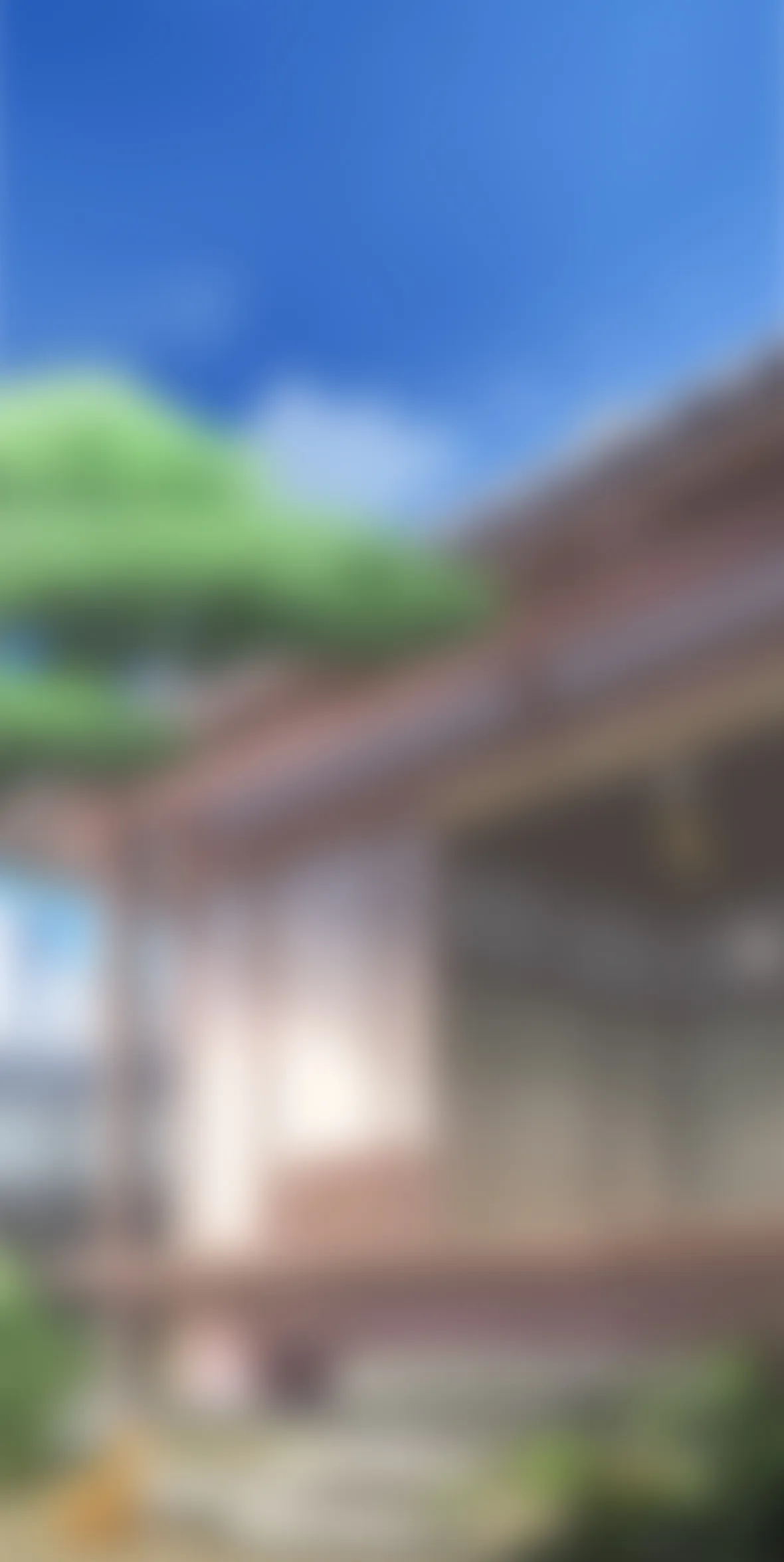 bg-image