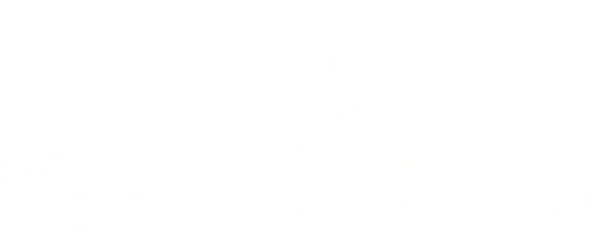 bg-image