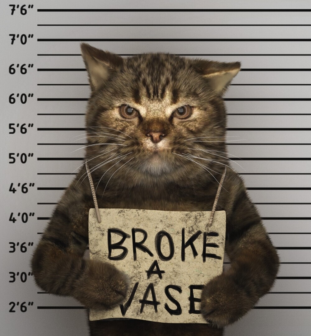 https://cdn.xsolla.net/merchant-bucket-prod/files/uploaded/sitebuilder/29100/9ec990188807fef5ad37bb63eff81940.jpg