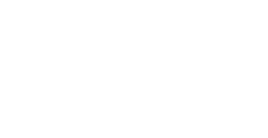Playfusion logo
